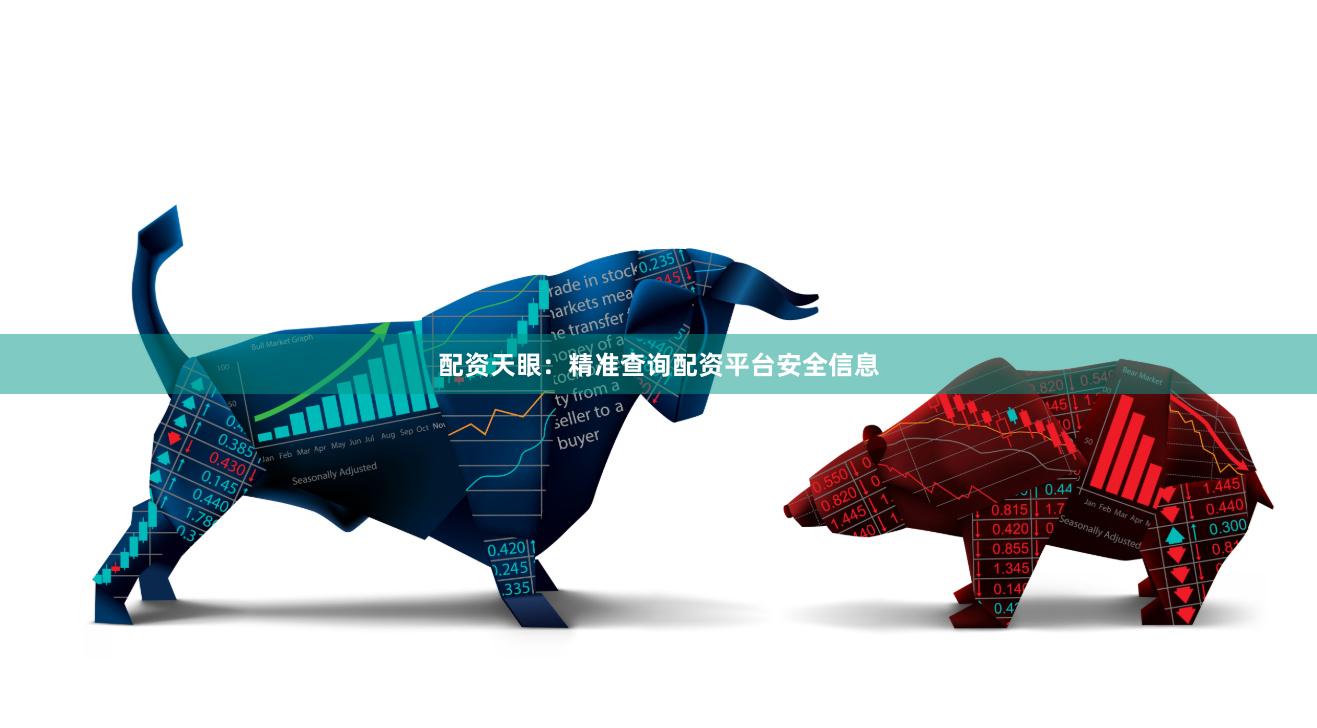 配资天眼：精准查询配资平台安全信息